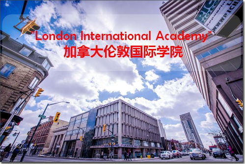 签证与移民顾问在深圳国际学校的职业机遇