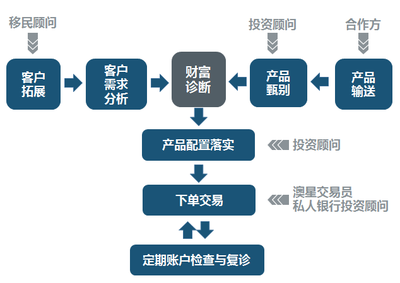 全面解析 移民顾问如何为您定制专属海外规划方案