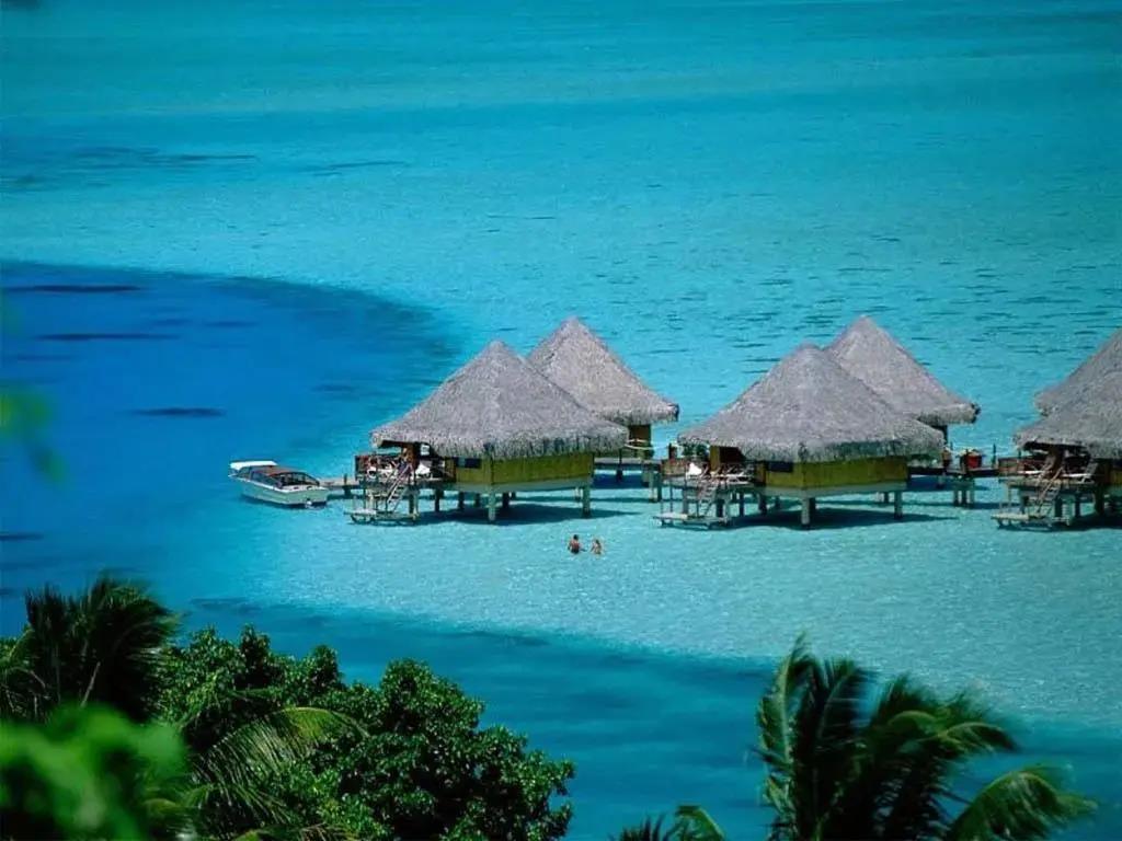 深圳洲际移民投资顾问 专业护航，开启海外生活新篇章